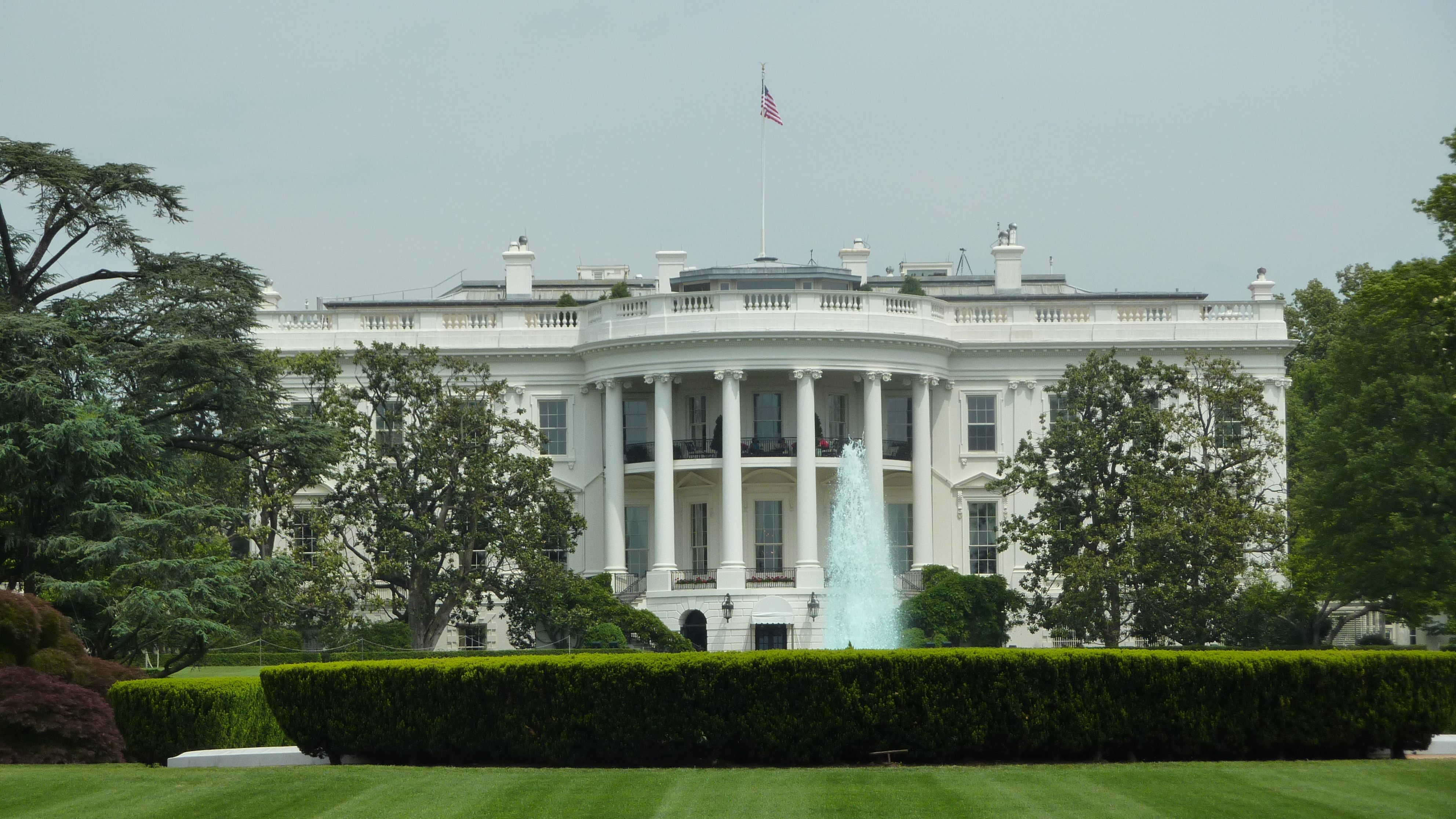 P1000778