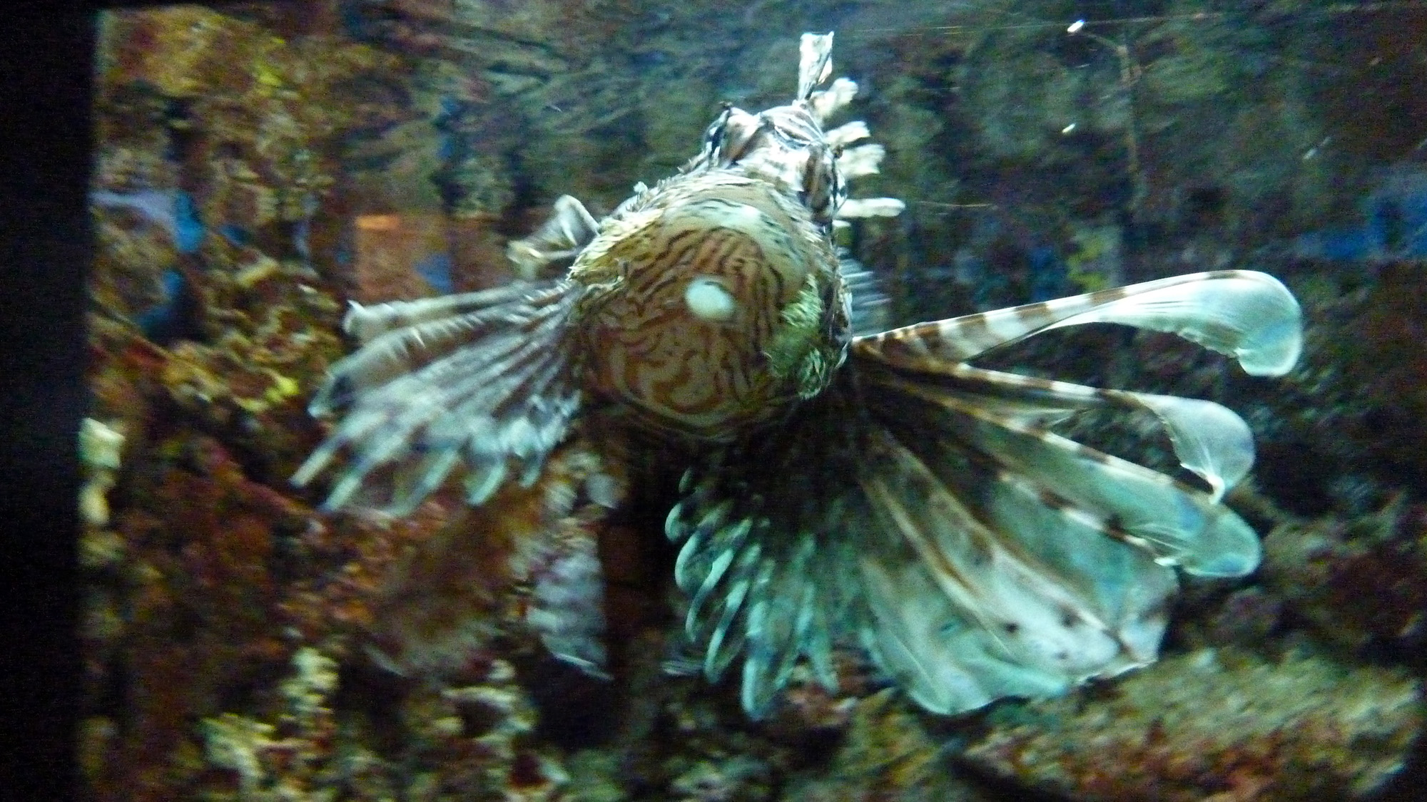 P1020802