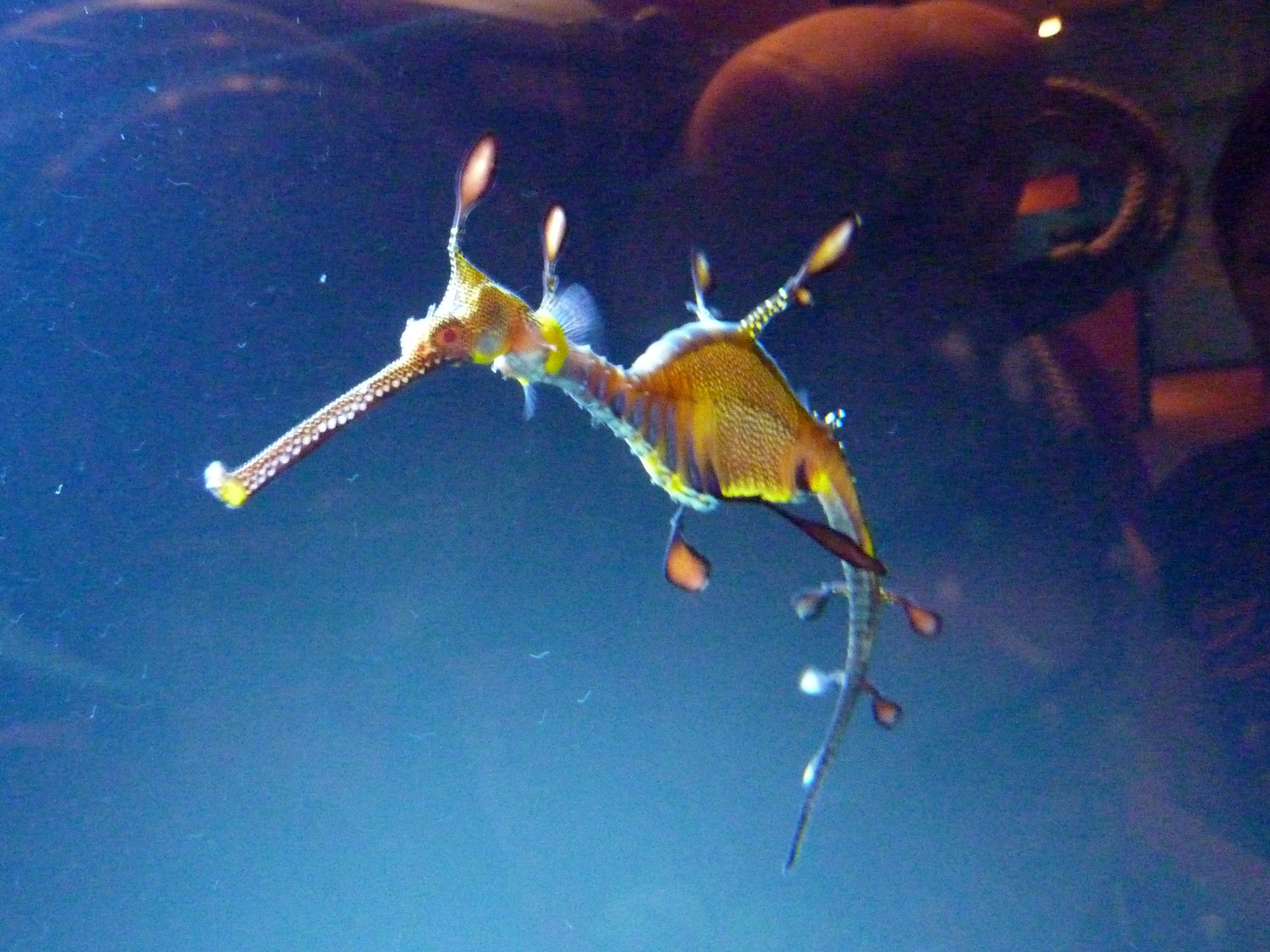 P1020811